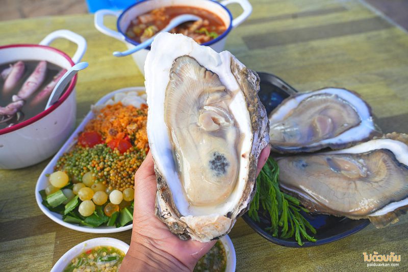 บารมีหอย ร้านอาหารทะเลหาดแหลมเจริญ สด อร่อย ราคาเป็นมิตร