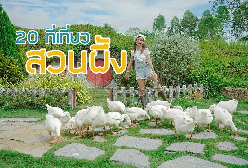 สวนผึ้ง อำเภอสุดชิลล์ บรรยากาศดี๊ดี เที่ยวแบบอินไซด์ 20 จุดเช็คอินเก๋ๆ ไปได้ทุกฤดู