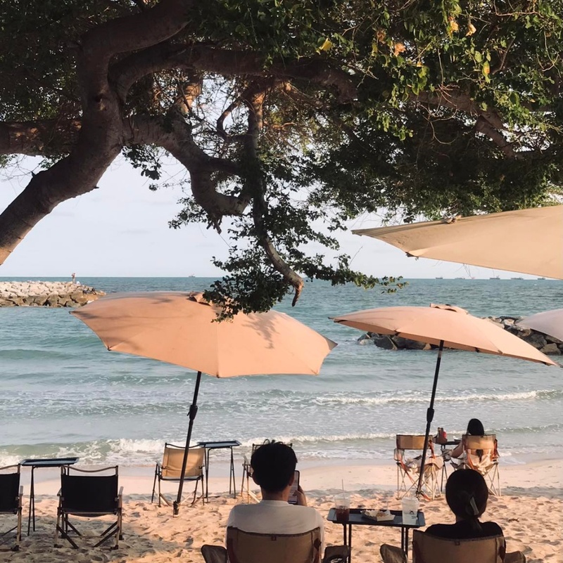 bake and more, bellinee’s rayong, guer cafe, happy camper rayong, happy camper คาเฟ่, mama don’t like espresso bar & bake lab, mhuan fun cafe & art, misahouse, phala craft coffee roasters, seaseoul cafe, she sails cafe & beach club, she sails rayong, the creeper house, triple o coffee, u cup coffee, คาเฟ่ระยอง, คาเฟ่ระยอง 2024, คาเฟ่ระยอง 2567, คาเฟ่ริมทะเล ระยอง, คาเฟ่เปิดใหม่ ระยอง, คาเฟ่ใกลฉัน, ซีโซล คาเฟ่, ปาฎี, มาม่า ดอนท์ ไลท์ คาเฟ่, มิสะเฮ้าท์, ระยอง 2024, ระยอง 2567, ระยอง คาเฟ่, ร้านปาฎี, ร้านเกื้อ, สวนก๋ง, เที่ยวระยอง, เบค แอนด์ มอร์ คาเฟ่, เบลลินี่ ระยอง, เหมือนฝัน คาเฟ่, top 15+ คาเฟ่ระยอง [สิงหาคม 2024] นั่งจิบชากาแฟ ทานเบเกอรี่ ดื่มด่ำธรรมชาติ รับลมริมทะเล