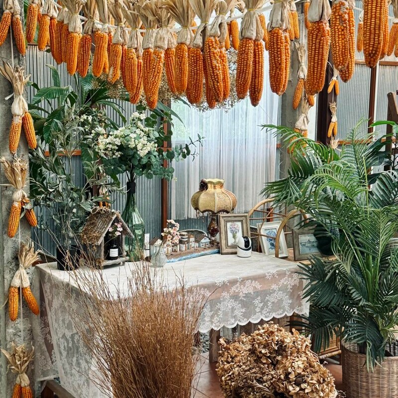 bake and more, bellinee’s rayong, guer cafe, happy camper rayong, happy camper คาเฟ่, mama don’t like espresso bar & bake lab, mhuan fun cafe & art, misahouse, phala craft coffee roasters, seaseoul cafe, she sails cafe & beach club, she sails rayong, the creeper house, triple o coffee, u cup coffee, คาเฟ่ระยอง, คาเฟ่ระยอง 2024, คาเฟ่ระยอง 2567, คาเฟ่ริมทะเล ระยอง, คาเฟ่เปิดใหม่ ระยอง, คาเฟ่ใกลฉัน, ซีโซล คาเฟ่, ปาฎี, มาม่า ดอนท์ ไลท์ คาเฟ่, มิสะเฮ้าท์, ระยอง 2024, ระยอง 2567, ระยอง คาเฟ่, ร้านปาฎี, ร้านเกื้อ, สวนก๋ง, เที่ยวระยอง, เบค แอนด์ มอร์ คาเฟ่, เบลลินี่ ระยอง, เหมือนฝัน คาเฟ่, top 15+ คาเฟ่ระยอง [สิงหาคม 2024] นั่งจิบชากาแฟ ทานเบเกอรี่ ดื่มด่ำธรรมชาติ รับลมริมทะเล