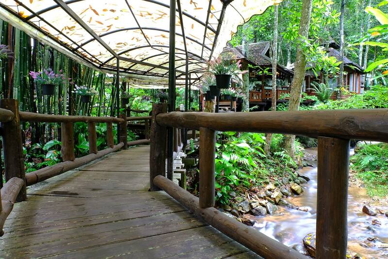 top 9+ ร้านคาเฟ่แม่กำปองครองใจ บรรยากาศดีจนต้องหลงรัก สักครั้งต้องไปเช็คอิน พิกัดอ.แม่ออน