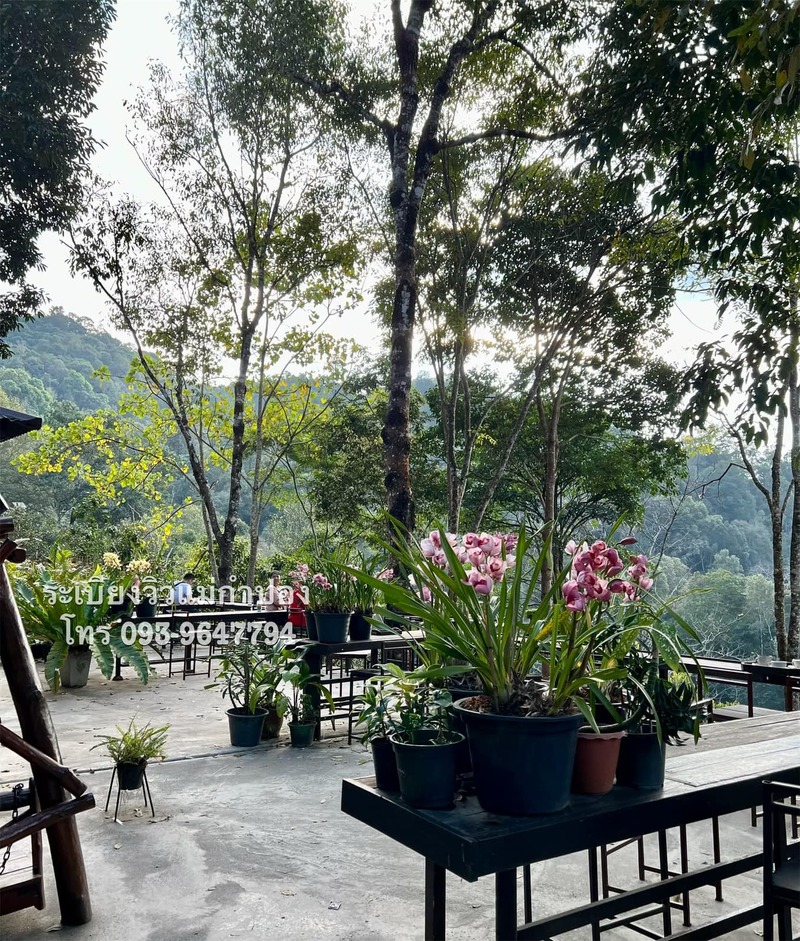 top 9+ ร้านคาเฟ่แม่กำปองครองใจ บรรยากาศดีจนต้องหลงรัก สักครั้งต้องไปเช็คอิน พิกัดอ.แม่ออน