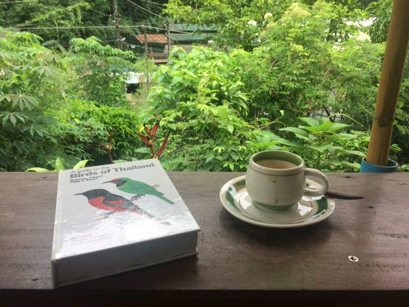 top 9+ ร้านคาเฟ่แม่กำปองครองใจ บรรยากาศดีจนต้องหลงรัก สักครั้งต้องไปเช็คอิน พิกัดอ.แม่ออน