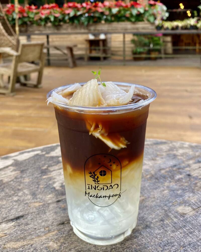 top 9+ ร้านคาเฟ่แม่กำปองครองใจ บรรยากาศดีจนต้องหลงรัก สักครั้งต้องไปเช็คอิน พิกัดอ.แม่ออน
