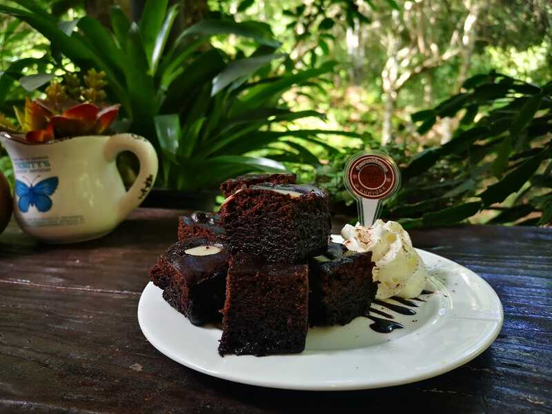 top 9+ ร้านคาเฟ่แม่กำปองครองใจ บรรยากาศดีจนต้องหลงรัก สักครั้งต้องไปเช็คอิน พิกัดอ.แม่ออน