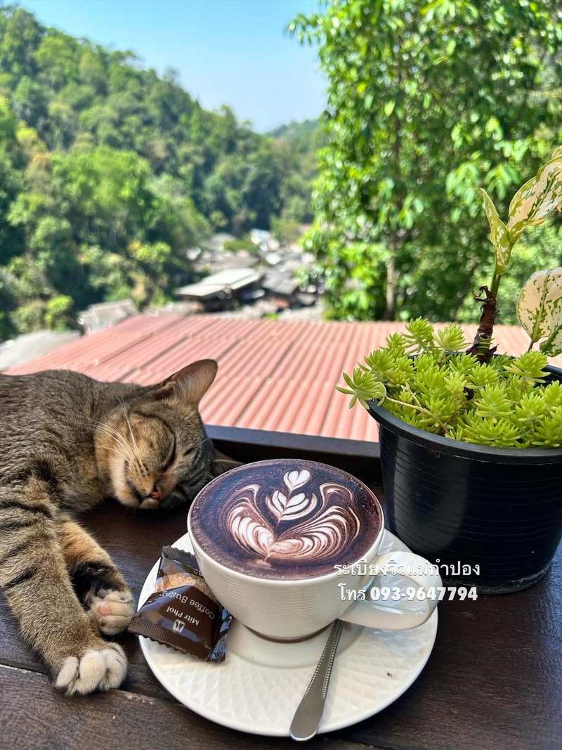 top 9+ ร้านคาเฟ่แม่กำปองครองใจ บรรยากาศดีจนต้องหลงรัก สักครั้งต้องไปเช็คอิน พิกัดอ.แม่ออน