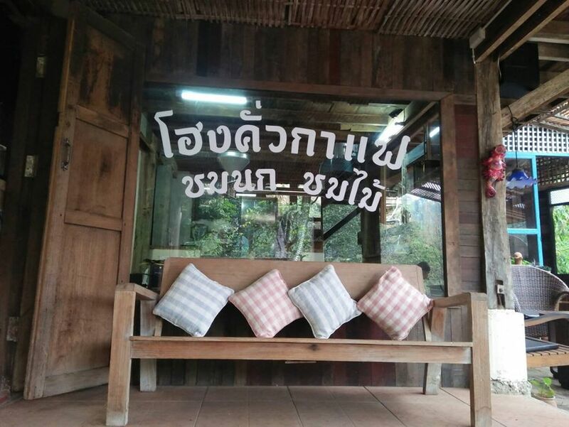 top 9+ ร้านคาเฟ่แม่กำปองครองใจ บรรยากาศดีจนต้องหลงรัก สักครั้งต้องไปเช็คอิน พิกัดอ.แม่ออน