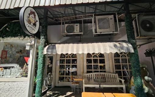 1. Caturday Cat Caf&eacute;&nbsp;, 2. Mohu Mohu Cat Caf&eacute;, 3. Year of the Cat Caf&eacute;, 4. Catnip Caf&eacute;, 5. Chico Design Bangkok, Top 5+ คาเฟ่แมวในกรุงเทพฯ แวะมารับความน่ารักจากเหมียวขนปุย