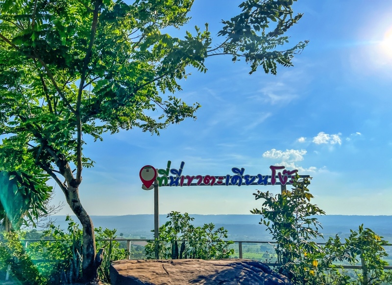 amazing dinosaur, amazing dinosaur เขาค้อ, gino cafe, hydrangea cafe, pino latte, pizza house cafe), the dreamer cafe, the dreamer cafe & resort, จุดชมวิวทะเลหมอก อำเภอเขาค้อ, จุดชมวิววัดกองเนียม, จุดชมวิวอำเภอเขาค้อ, ที่เที่ยวเขาค้อ, ที่เที่ยวเขาค้อ 2024, ที่เที่ยวเขาค้อ 2567, ที่เที่ยวเพชรบูรณ์, ทุ่งแสลงหลวง, น้ำตกศรีดิษฐ์, บ้านเขา คาเฟ่, พระตำหนัก เขาค้อ, พระบรมธาตุเจดีย์กาญจนาภิเษก, พิพิธภัณฑ์อาวุธ, ฟาร์มแกะ เขาค้อ, ม่อนซ่อนแก้ว ฟาร์มสเตย์แอนด์คาเฟ่, ม่อนแกะ เขาค้อ, วัดป่าคาสามัคคี, วัดผาซ่อนแก้ว, วัดพระธาตุผาซ่อนแก้ว, สกายวอล์คภูเลิศ, สกายวอล์คภูเลิศเขาค้อ, องค์ปู่ท้าวเวชสุวรรณลอยฟ้า, อนุสรณ์สถานผู้เสียสละ เขาค้อ, อุทยานแห่งชาติทุ่งแสลงหลวง, เขาค้อ, เขาค้อ 2024, เขาค้อ 2567, เขาตะเคียนโง๊ะ, แก่งบางระจัน, ไร่ gb ทุ่งกังหันลม, ไร่gb เขาค้อ, ไฮเดรนเยีย คาเฟ่, top 20+ ที่เที่ยวเขาค้อ [สิงหาคม 2024] ที่ต้องแวะเช็คอิน ฟินไปกับทะเลหมอก ชมธรรมชาติส้วยสวย