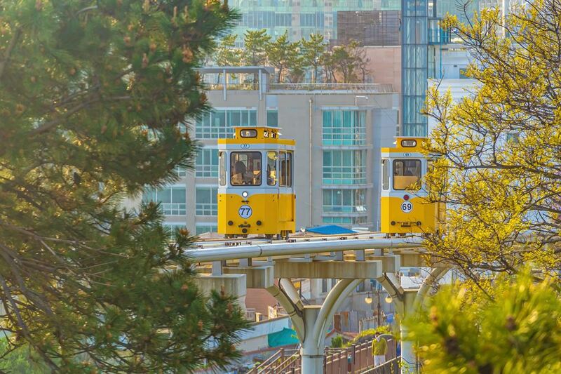 168 stairs, biff square, blue line park, busan international film festival, cheongsapo, gamcheon culture village, haedong yonggungsa, haeundae beach, little prince, nampodong shopping street, ocean breeze, sky capsule haeundae blue line park, songdo beach, songdo sky park, songdo sky walk, the bay 101, yacht club, คาเฟ่รถไฟแคปซูล, ชายหาดซงโด, ชายหาดแฮอุนแด, ตลาดนัมโพดง, ถ่ายรูปกับเจ้าชายน้อย, ทะเลปูซาน, ปูซาน 2024, ปูซาน 2567, ปูซานเกาลี 2567, ปูซานเกาหลี 2024, ปูซานเที่ยวไหนดี, พระสังกัจจายน์สีทอง, มุมลับ the bay 101, รถไฟปูซาน, รถไฟแคปซูล, วัดแฮดง ยงกุงซา, สตีทฟู๊ดเกาหลี, หมู่บ้านคัมชอน, อาหารเกาหลี, เที่ยวปูซาน, เที่ยวเกาหลี, เที่ยวเกาหลี 2024, เที่ยวเกาหลี 2567, แพนเค้กเกาหลี, โรงแรมในหมู่บ้านคัมชอน, โฮต็อก, top 10+ ที่เที่ยวปูซาน [สิงหาคม 2024] เกาหลีใต้ วิวปัง ถ่ายรูปสวย