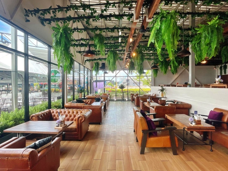 10cc coffee and co, 6 zero garage & roaster, breeze cafe & bar, dna คาเฟ่, dna.do not awkward cafe, dx playground, dx playground cafe’ & bistro, hidden backyard, high octane café, kanomprang, mitte coffee, nooch coffee, plantnery green cafe, rynn kaffe, rynn kaffe specialty coffee, we roast cafe, whistlehomecafe, yerm chocolate, คาเฟ่ ย่านเมืองทองธานี, คาเฟ่นนทบุรี, คาเฟ่ริมทะเลสาบเมืองทอง, คาเฟ่เมืองทอง, คาเฟ่เมืองทอง 2024, คาเฟ่เมืองทอง 2567, คาเฟ่เมืองทอง นนทบุรี, คาเฟ่เมืองทองธานี, คาเฟ่เมืองทองธานี 2024, คาเฟ่เมืองทองธานี 2567, คาเฟ่ใกล้ฉัน, คาเฟ่ในเมืองทอง, ทิมเบอร์ริง ขนมปราง, นุช คอฟฟี่, รีวิวคาเฟ่เมืองทอง, แพลนท์เนอรี กรีน คาเฟ่, top 15+ คาเฟ่เมืองทองธานี 2024 หลากสไตล์ หลายดีไซน์ น่านั่งชิลล์ตามฟีลสุด ๆ