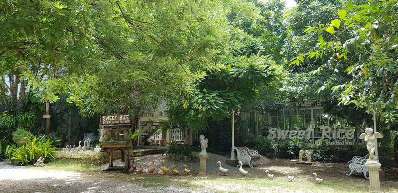 คาเฟ่ สุโขทัย ร้านบรรยากาศดี น่านั่ง : เที่ยวเมืองเก่าพร้อมนั่งร้านกาแฟชิคๆ