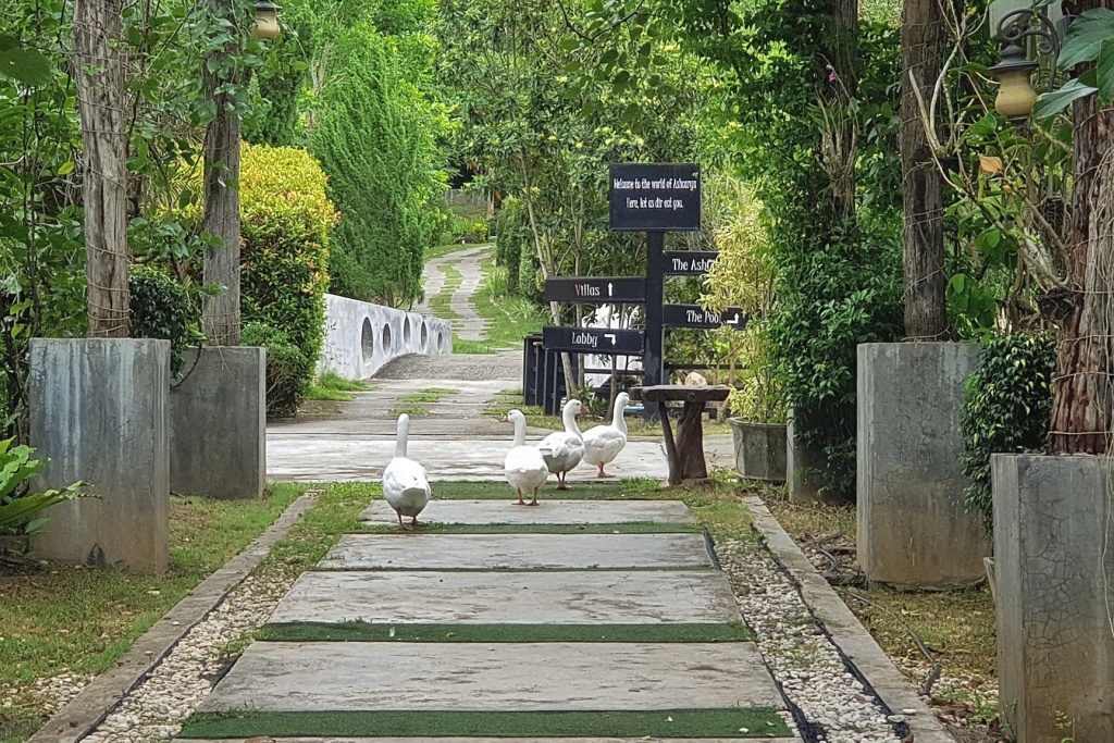 bellissimo cafe & resort, bibury resort, release pool villa resort, rewild camp&cafe, swiss valley สวนผึ้ง, terrua main ten villa, ขุนเขา ตำนาน ไพร, ที่พักสวนผึ้ง, ที่พักสวนผึ้ง 2024, ที่พักสวนผึ้ง 2025, ที่พักสวนผึ้ง 2567, ที่พักสวนผึ้ง 2568, ที่พักสวนผึ้ง มีสระว่ายน้ํา, ที่พักสวนผึ้ง สวยๆ, ที่พักสวนผึ้ง แนะนำ, บางเวลา สวนผึ้ง รีสอร์ท, บ้านอ้อมกอดขุนเขา, ปั้นหยา ชาเล่ต์ รีสอร์ท, พนาลี โฮม แอนด์ แคมปิ้ง, พอเพลิน ฮิบรีสอร์ท, รัก ณ สวนผึ้ง รีสอร์ท, รีลีส พูล วิลล่า รีสอร์ท, รีสอร์ท สวนผึ้ง, ลา ทอสคาน่า รีสอร์ท, ลาโพรวองซ์ สวนผึ้ง, วิลล่า โมรีดา, วิลลาทัสคานี คันทรี รีสอร์ท, สวิส วัลเลย์ ฮิพ รีสอร์ท, สแตมป์ ฮิลล์ รีสอร์ต, อัศจารา รีสอร์ท, อาสคาญ่า บูติค รีสอร์ท, เดอะ โลเคชั่น รีสอร์ท, เดอะบันยัน ลีฟ รีสอร์ท, เทอรัว เมน เท็น วิลล่า, แดนดิไลออน สวนผึ้ง, แทมมารีน วิลล่า, ไบบุรี รีสอร์ท, ไฮซีน รีสอร์ท, top 20+ ที่พักสวนผึ้ง 2024 บรรยากาศธรรมชาติ พักผ่อนกลางหุบเขา