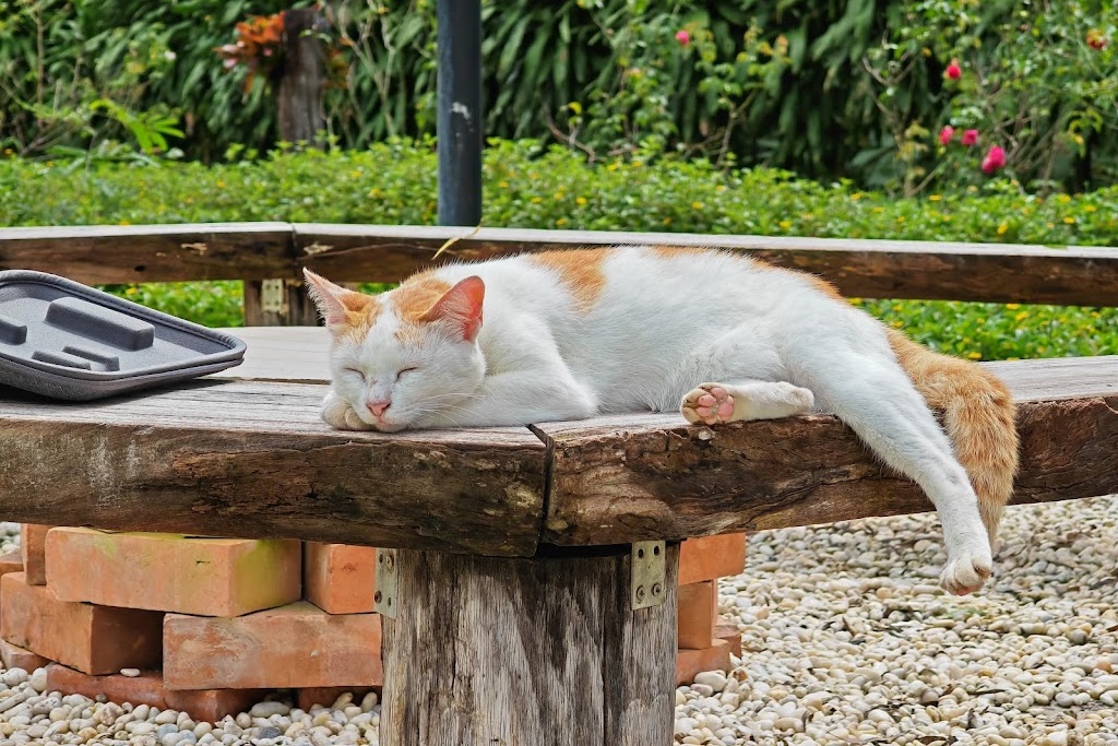 bellissimo cafe & resort, bibury resort, release pool villa resort, rewild camp&cafe, swiss valley สวนผึ้ง, terrua main ten villa, ขุนเขา ตำนาน ไพร, ที่พักสวนผึ้ง, ที่พักสวนผึ้ง 2024, ที่พักสวนผึ้ง 2025, ที่พักสวนผึ้ง 2567, ที่พักสวนผึ้ง 2568, ที่พักสวนผึ้ง มีสระว่ายน้ํา, ที่พักสวนผึ้ง สวยๆ, ที่พักสวนผึ้ง แนะนำ, บางเวลา สวนผึ้ง รีสอร์ท, บ้านอ้อมกอดขุนเขา, ปั้นหยา ชาเล่ต์ รีสอร์ท, พนาลี โฮม แอนด์ แคมปิ้ง, พอเพลิน ฮิบรีสอร์ท, รัก ณ สวนผึ้ง รีสอร์ท, รีลีส พูล วิลล่า รีสอร์ท, รีสอร์ท สวนผึ้ง, ลา ทอสคาน่า รีสอร์ท, ลาโพรวองซ์ สวนผึ้ง, วิลล่า โมรีดา, วิลลาทัสคานี คันทรี รีสอร์ท, สวิส วัลเลย์ ฮิพ รีสอร์ท, สแตมป์ ฮิลล์ รีสอร์ต, อัศจารา รีสอร์ท, อาสคาญ่า บูติค รีสอร์ท, เดอะ โลเคชั่น รีสอร์ท, เดอะบันยัน ลีฟ รีสอร์ท, เทอรัว เมน เท็น วิลล่า, แดนดิไลออน สวนผึ้ง, แทมมารีน วิลล่า, ไบบุรี รีสอร์ท, ไฮซีน รีสอร์ท, top 20+ ที่พักสวนผึ้ง 2024 บรรยากาศธรรมชาติ พักผ่อนกลางหุบเขา