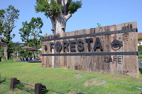 top 10+ ร้านคาเฟ่ริมน้ำตก บรรยากาศสุดฟิน ติดธรรมชาติ
