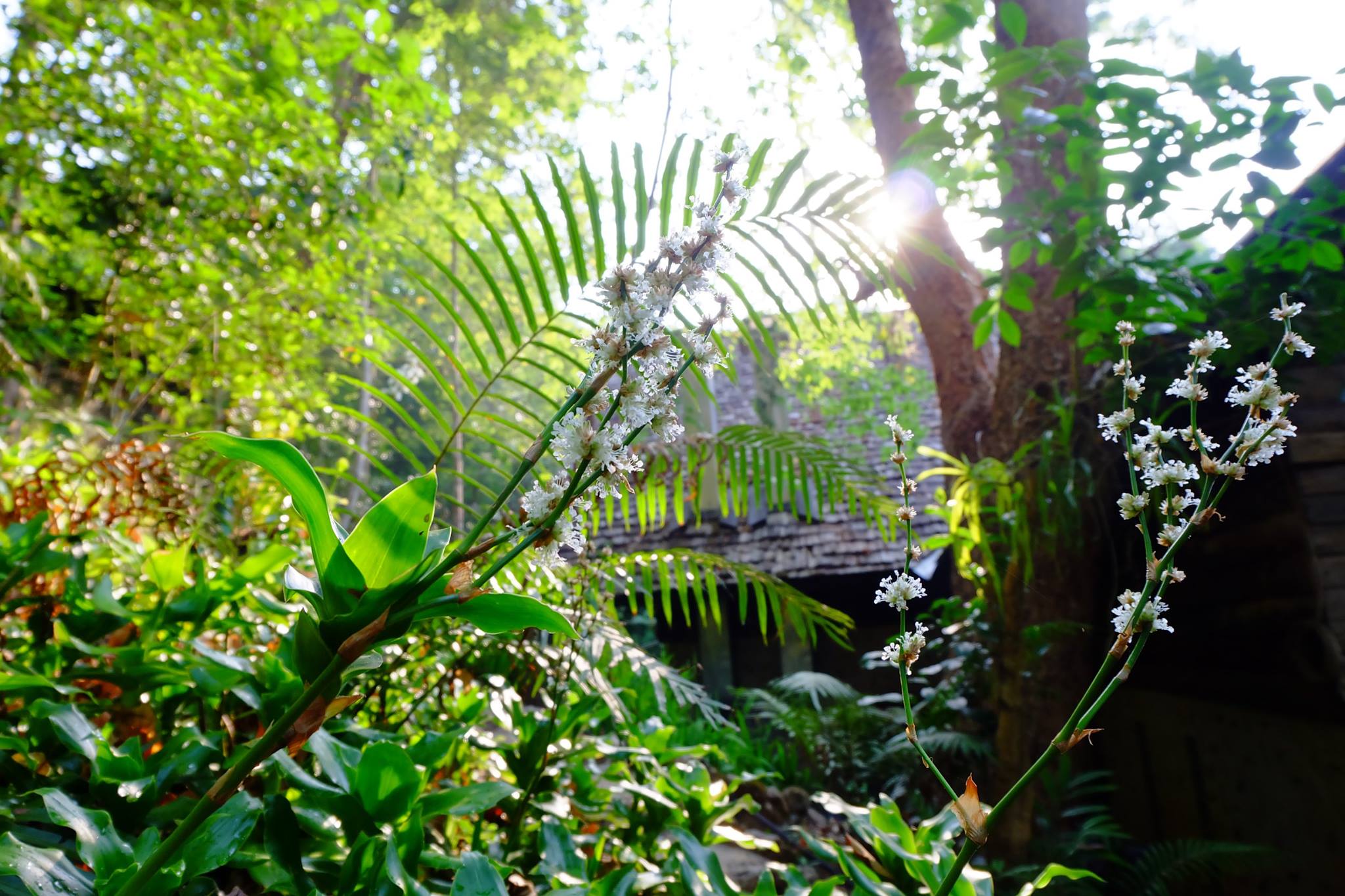 top 10+ ร้านคาเฟ่ริมน้ำตก บรรยากาศสุดฟิน ติดธรรมชาติ