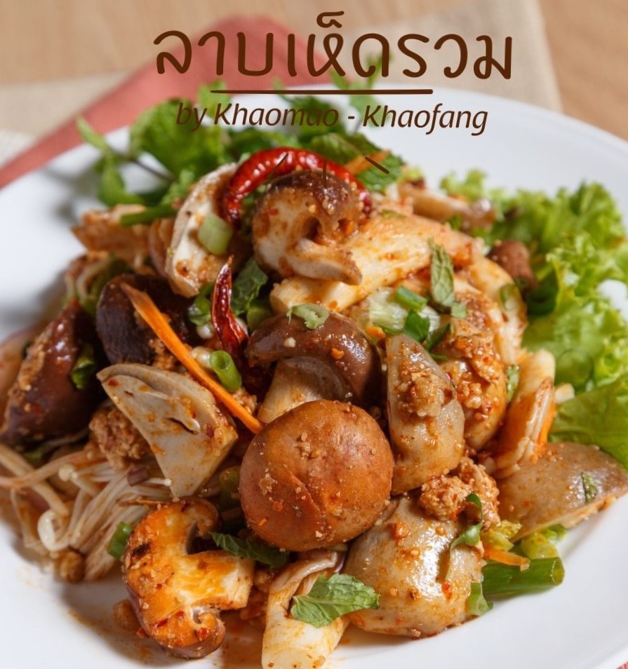 top 10+ ร้านคาเฟ่ริมน้ำตก บรรยากาศสุดฟิน ติดธรรมชาติ