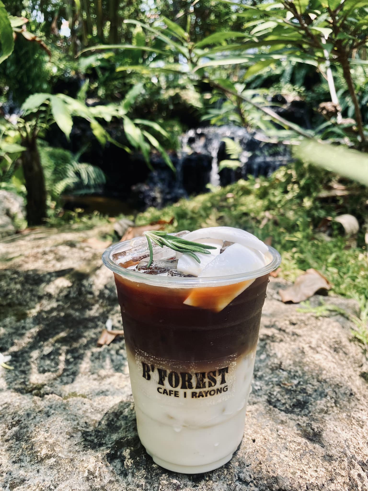 top 10+ ร้านคาเฟ่ริมน้ำตก บรรยากาศสุดฟิน ติดธรรมชาติ