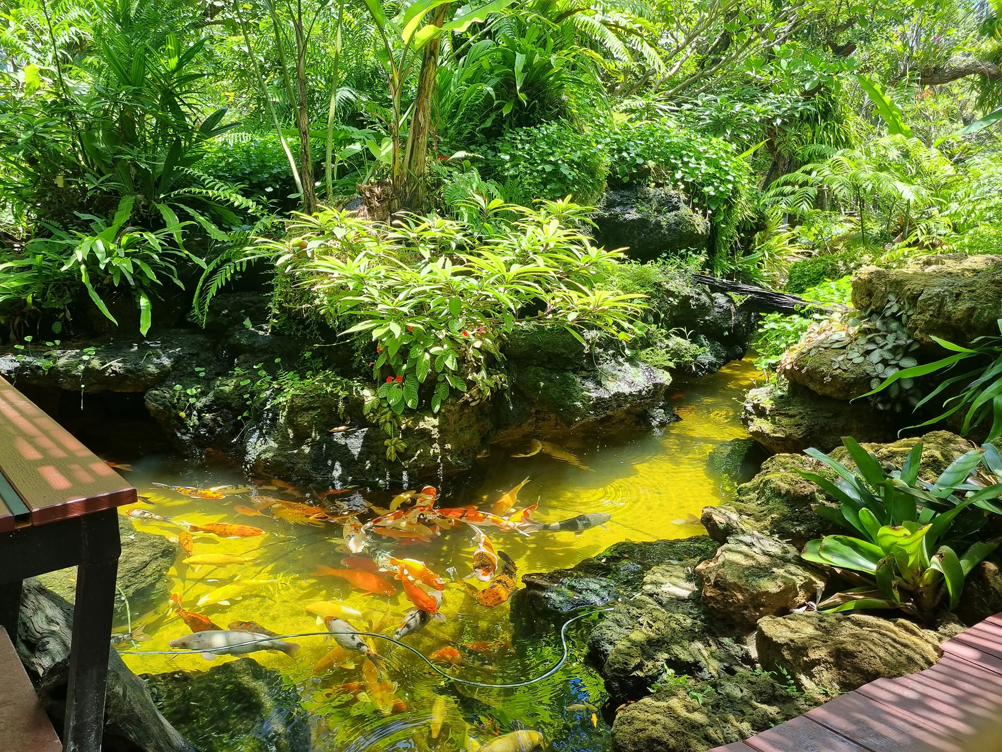 top 10+ ร้านคาเฟ่ริมน้ำตก บรรยากาศสุดฟิน ติดธรรมชาติ