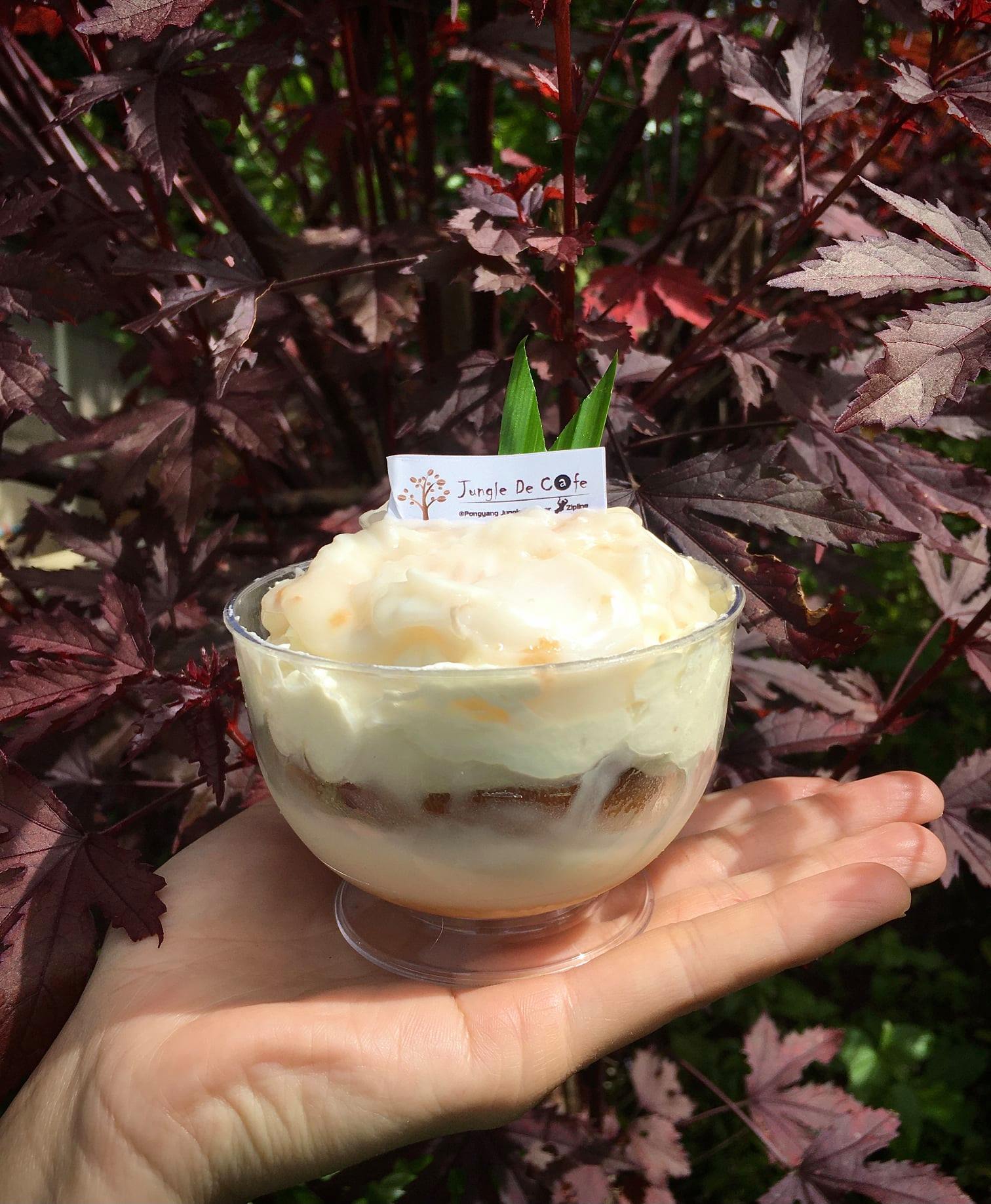 top 10+ ร้านคาเฟ่ริมน้ำตก บรรยากาศสุดฟิน ติดธรรมชาติ