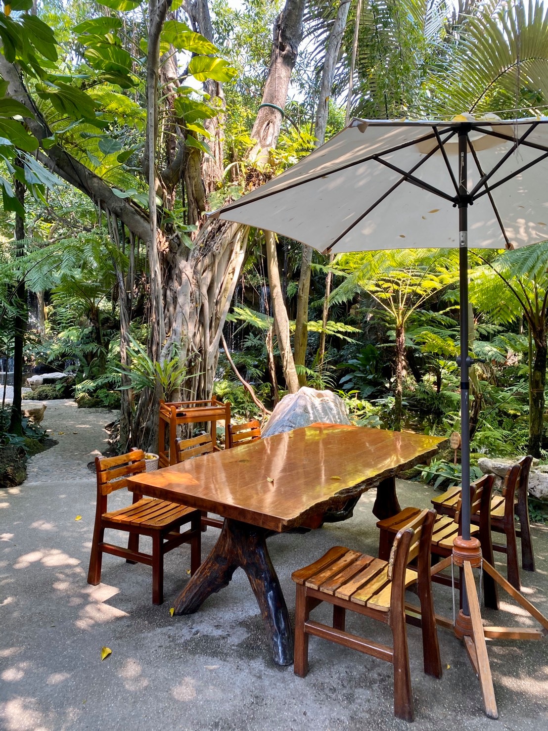 top 10+ ร้านคาเฟ่ริมน้ำตก บรรยากาศสุดฟิน ติดธรรมชาติ