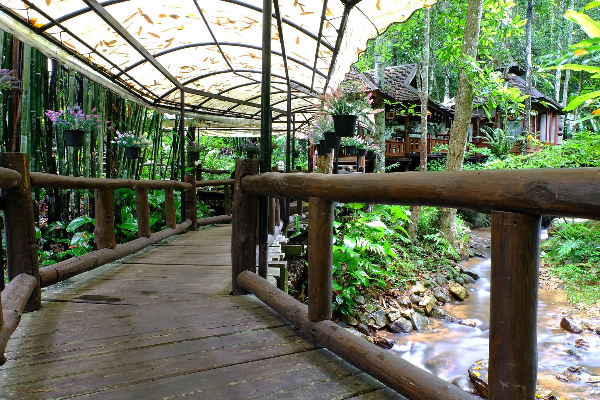 top 10+ ร้านคาเฟ่ริมน้ำตก บรรยากาศสุดฟิน ติดธรรมชาติ