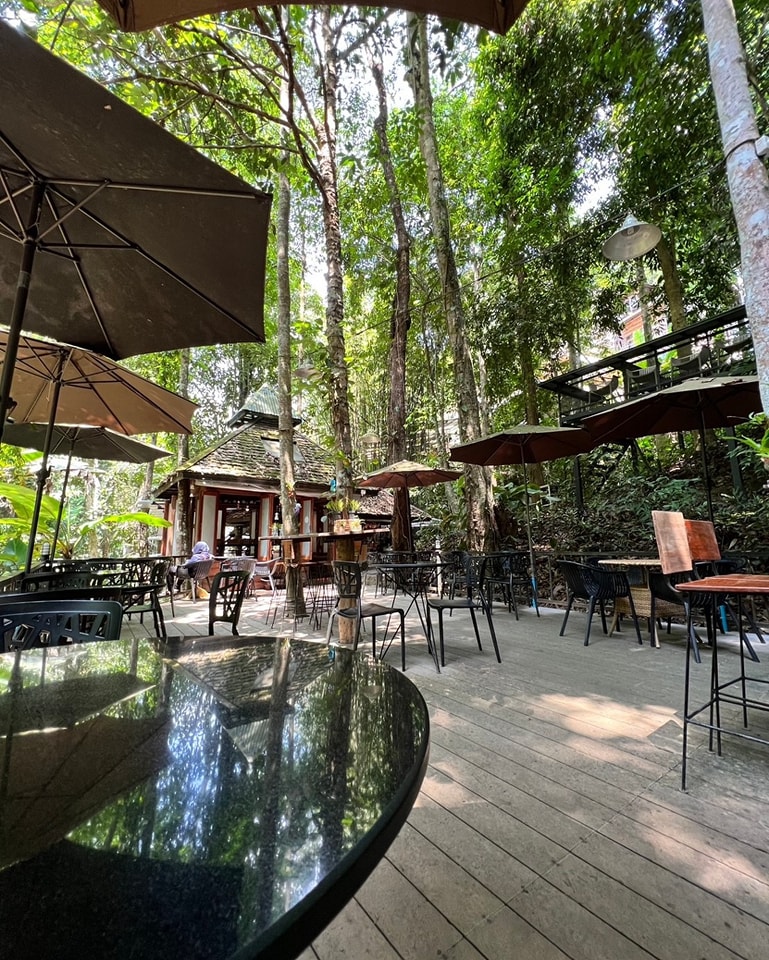 top 10+ ร้านคาเฟ่ริมน้ำตก บรรยากาศสุดฟิน ติดธรรมชาติ