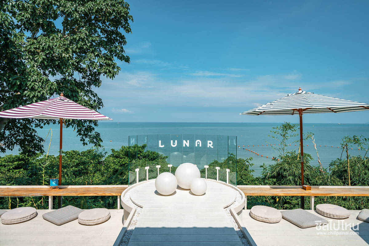 top 10+ คาเฟ่พัทยา ต้อนรับสัตว์เลี้ยง มุมถ่ายรูปสุดปัง