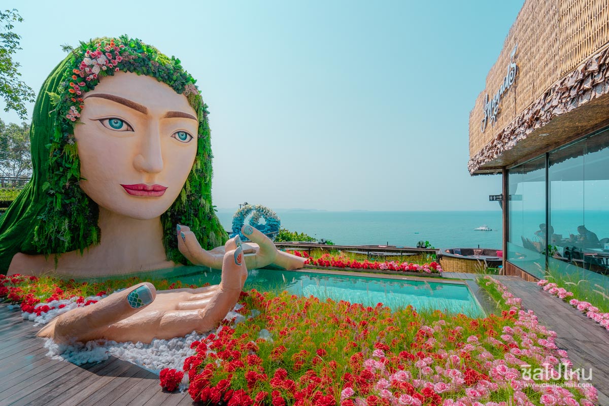 top 10+ คาเฟ่พัทยา ต้อนรับสัตว์เลี้ยง มุมถ่ายรูปสุดปัง