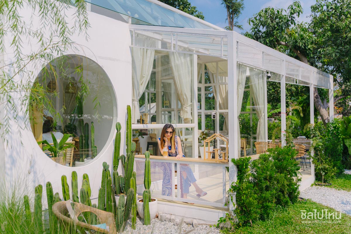 top 10+ คาเฟ่พัทยา ต้อนรับสัตว์เลี้ยง มุมถ่ายรูปสุดปัง