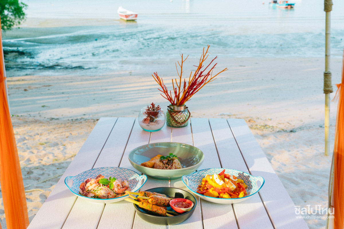 top 10+ คาเฟ่พัทยา ต้อนรับสัตว์เลี้ยง มุมถ่ายรูปสุดปัง