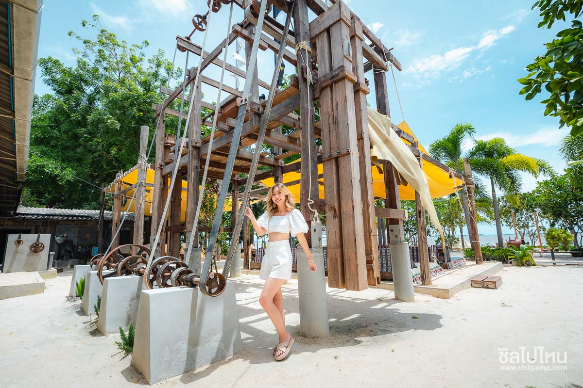 top 10+ คาเฟ่พัทยา ต้อนรับสัตว์เลี้ยง มุมถ่ายรูปสุดปัง