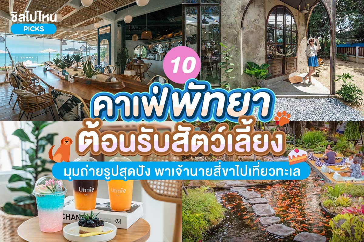 1. ป้าบุญคาเฟ่ ,   2. Vanvela Cafe&rsquo; &amp; Space (วันเวลา คาเฟ่) ,   3. Bull Beach Club คาเฟ่ &amp; Restaurant , 4. Summer House Pattaya (ซัมเมอร์เฮ้าส์พัทยา) , 5. Unnie (ออนนี) ,   6. DAM Pattaya (แดม พัทยา) ,   7. The Lunar Beach House Pattaya ,    8. Seaweed Cafe Pattaya ,   9. 3 Mermaids Cafe Pattaya ,   10. ZBeach , Top 10+ คาเฟ่พัทยา ต้อนรับสัตว์เลี้ยง มุมถ่ายรูปสุดปัง