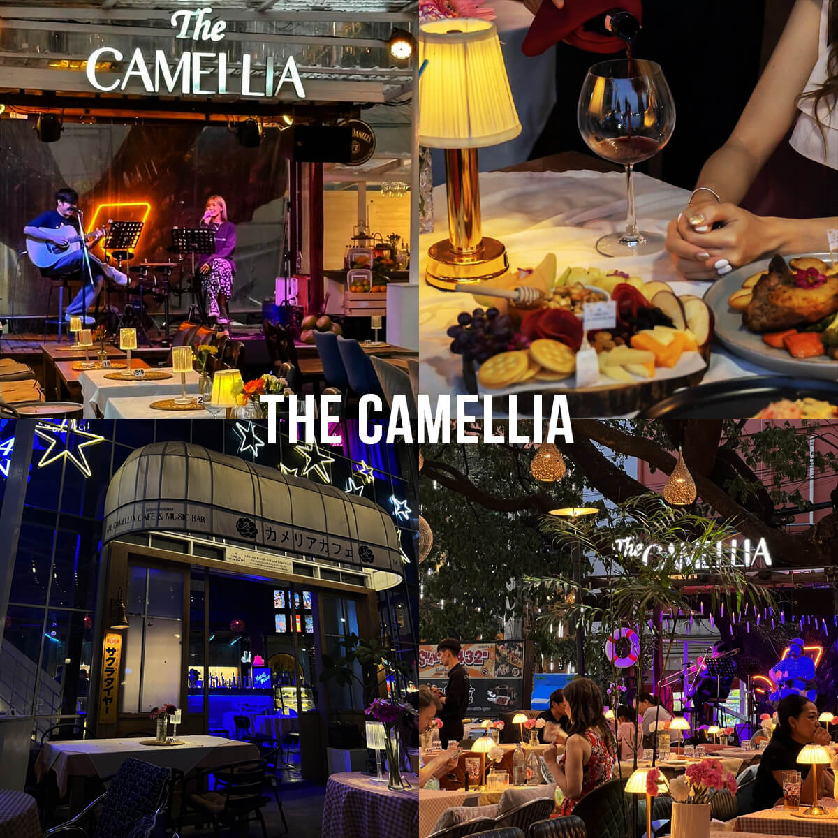Ive&rsquo;s Wonder, Fringe, Goof bar&amp;table , Our Wine Club, ALSO cafe, Butter &amp; Neighbor, camellia &amp; co, Homey Music Bar and Food, The Haus 224, Bar.san, Uncle.home, Barglory, Terra, The A Ter, Top 14+ ร้านไวน์เชียงใหม่ 2024 Wine Bar Chiangmai บรรยากาศดี