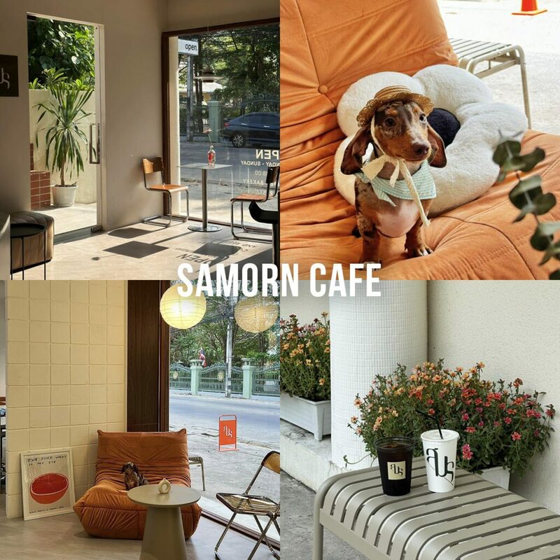KLĀY cafe, Good Smood, ROUND N ROUND&nbsp;, GRAPH Baankangwat, U sook home cafe&nbsp;, Monday Attack, Thursdae, LLOD espresso &amp; eatery, Coffice, Dorle Bakery, WYNN &amp; TIMS, Fringe, สมร cafe, จุดพักใจ JOODPAKJAI, Hilltown, RUF Cafe, Me and bacon, TATA Chiangdao, Isbj&oslash;rn, พิกัดเช็คอิน 20 คาเฟ่เชียงใหม่เปิดใหม่ 2024 ยอดฮิต!